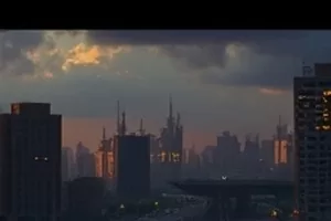 《白露为霜》封面，清晨草叶上结着的白色霜花